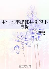 重生七零醋缸兵哥的小青梅