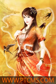 红楼之娇妻美眷